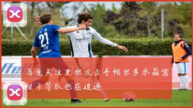 马竞关注里尔攻击手帕尔多水晶宫纽卡等队也在追逐