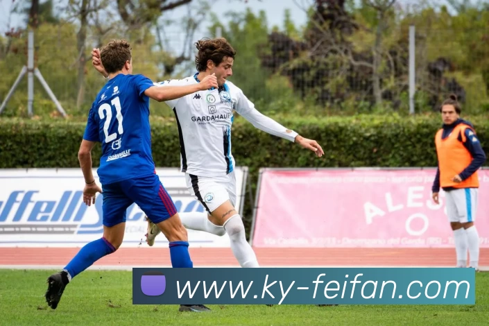 非凡娱乐平台生态图